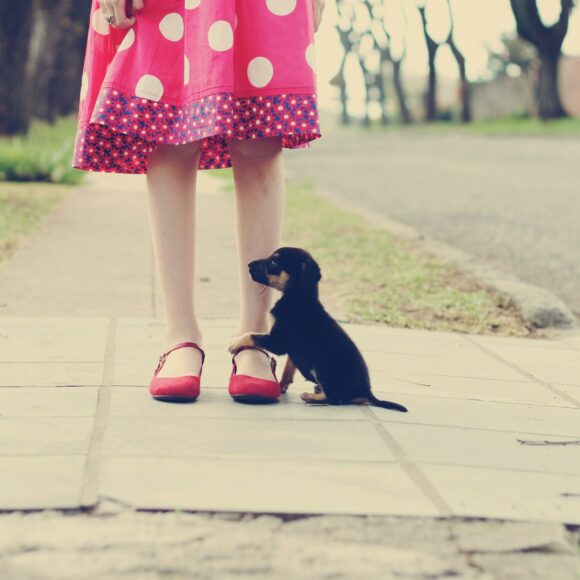 The Polka Dot Dress