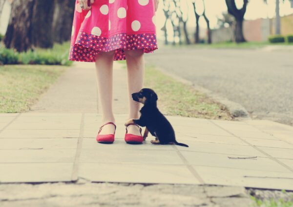 The Polka Dot Dress