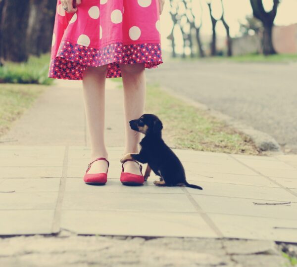 The Polka Dot Dress